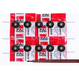 VW T5 2.5 TDI Hydraulic Lifter Set – 10x FAI BFS101S VW T5 2.5 TDI Hydraulic Lifter Set – 10x FAI BFS101S