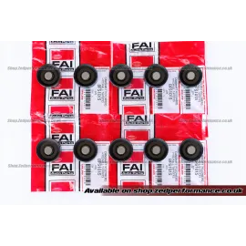 VW T5 2.5 TDI Hydraulic Lifter Set – 10x FAI BFS101S VW T5 2.5 TDI Hydraulic Lifter Set – 10x FAI BFS101S