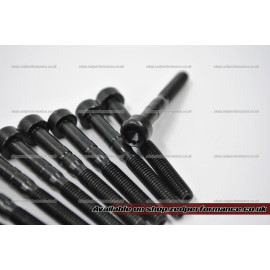 VW & Audi 1.9 TDI camshaft & injector bolt set VW & Audi 1.9 TDI camshaft & injector bolt set