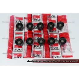 VW T5 2.5 TDI Hydraulic Lifter Set – 10x FAI BFS101S
