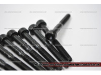 VW & Audi 1.9 TDI camshaft & injector bolt set