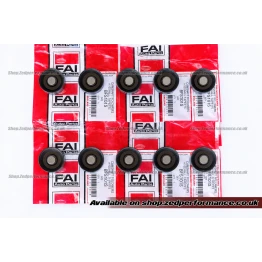 VW T5 2.5 TDI Hydraulic Lifter Set – 10x FAI BFS101S