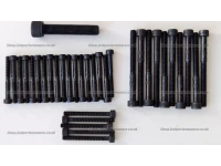 VW Transporter T5 2.5 TDi PD camshaft kit
