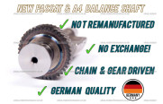 VW Passat & Audi A4 2.0TDI balance shaft 